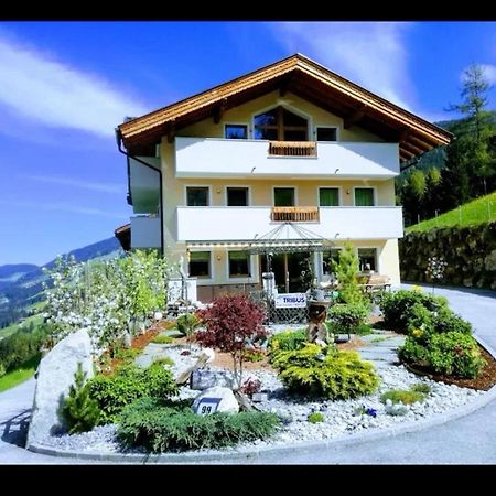 Ferienwohnungen Hinterstein Hart im Zillertal Bagian luar foto