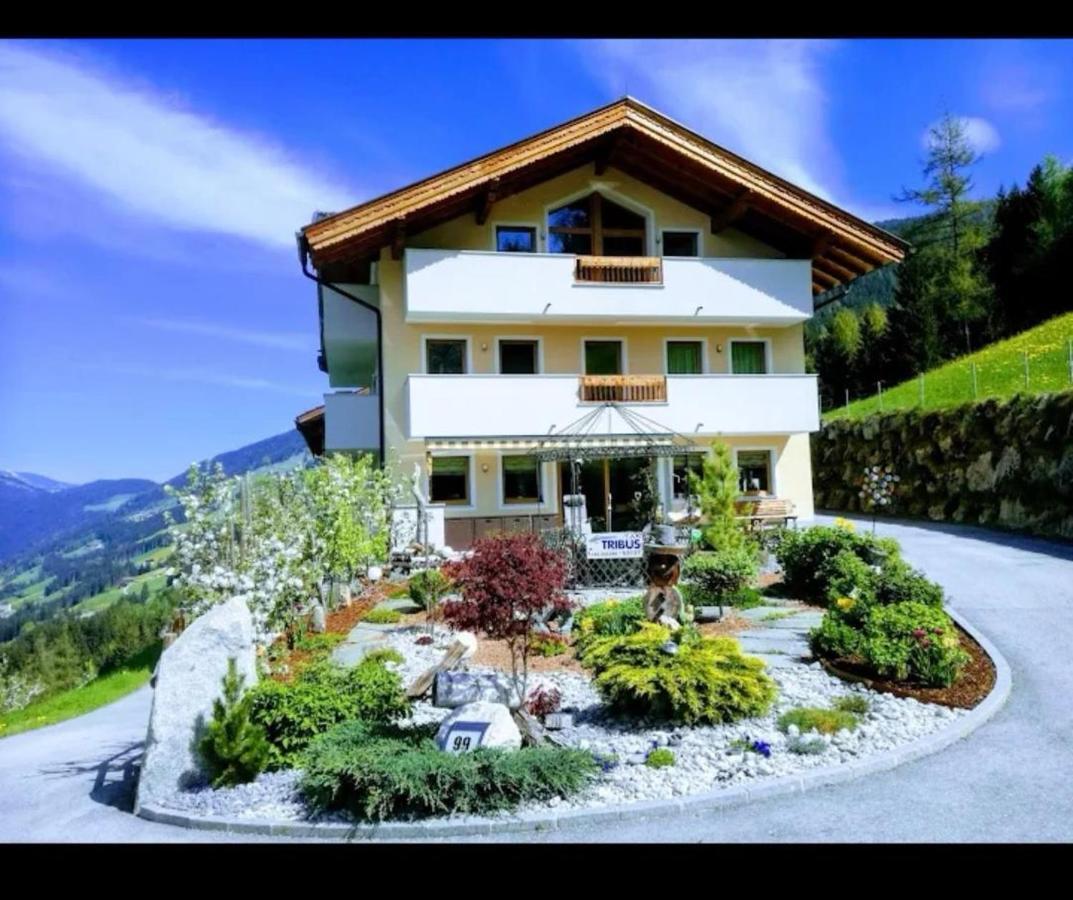 Ferienwohnungen Hinterstein Hart im Zillertal Bagian luar foto